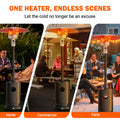 Patio Heater for Outdoor Use, 50,000BTU Propane Heater with Wheels and Adjustable Thermostat, Heavy Duty Stainless Steel Patio Heater, Freestanding Heater for Backyard, Deck, Garden, Silver Gray