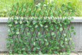 🔥BUY MORE SAVE MORE - 🌳3 Pcs Expandable Faux Privacy Fence🌳