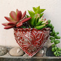 Planting Succulent Heart Pocket Planter
