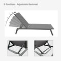 Seizeen Outdoor Chaise Lounge, Patio Lounge Chair with Wheels All Weather, Five-Position Adjustable Lounge Chair for Poolside Deck Porch Backyard, Gray Aluminum Frame Outdoor Furniture