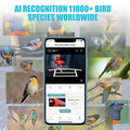 AI Bird Feeder for Outside, Seizeen Solar Bird Feeder with Ultra-wide Camera, 5200mAh Battery, 11000+Bird Recognition, Voice Dialogue, 1080P HP Video, Ideal Birthday Christmas Gift for Man Father