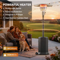 Seizeen Patio Heater for Outdoor Use, 50000BTU Outdoor Propane Heater with Automatic Shutdown Protection, Portable Design on Wheels for Porch Poolside Rattan Furniture, MAX 300sq.ft