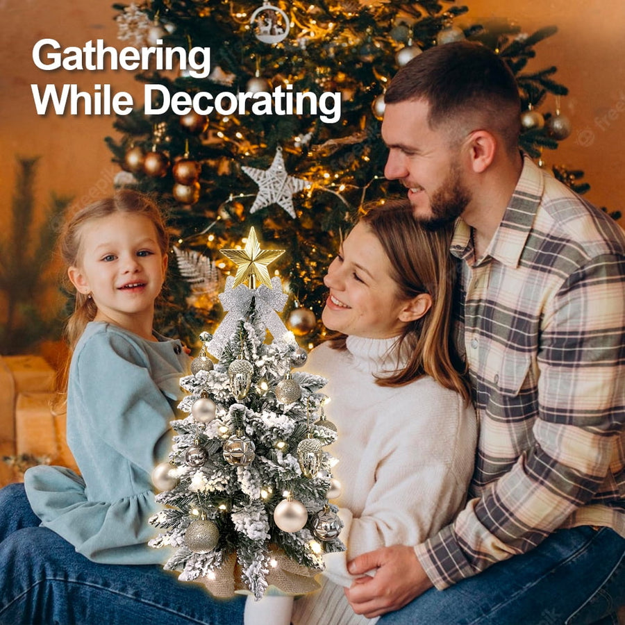 Tabletop Christmas Tree with Lights, 2FT Pre-lit Christmas Tree with Rich Decorations, Mini Artificial Tree Shiny Ornaments & Light String for Xmas, White Small Lighted Tree for Home Decor, Gold