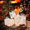 3PCS Gift Box Christmas Decoration, Seizeen Indoor Outdoor Xmas Decor with 60 Warm LED Lights, Home Room Garden Christmas Tree Decoration