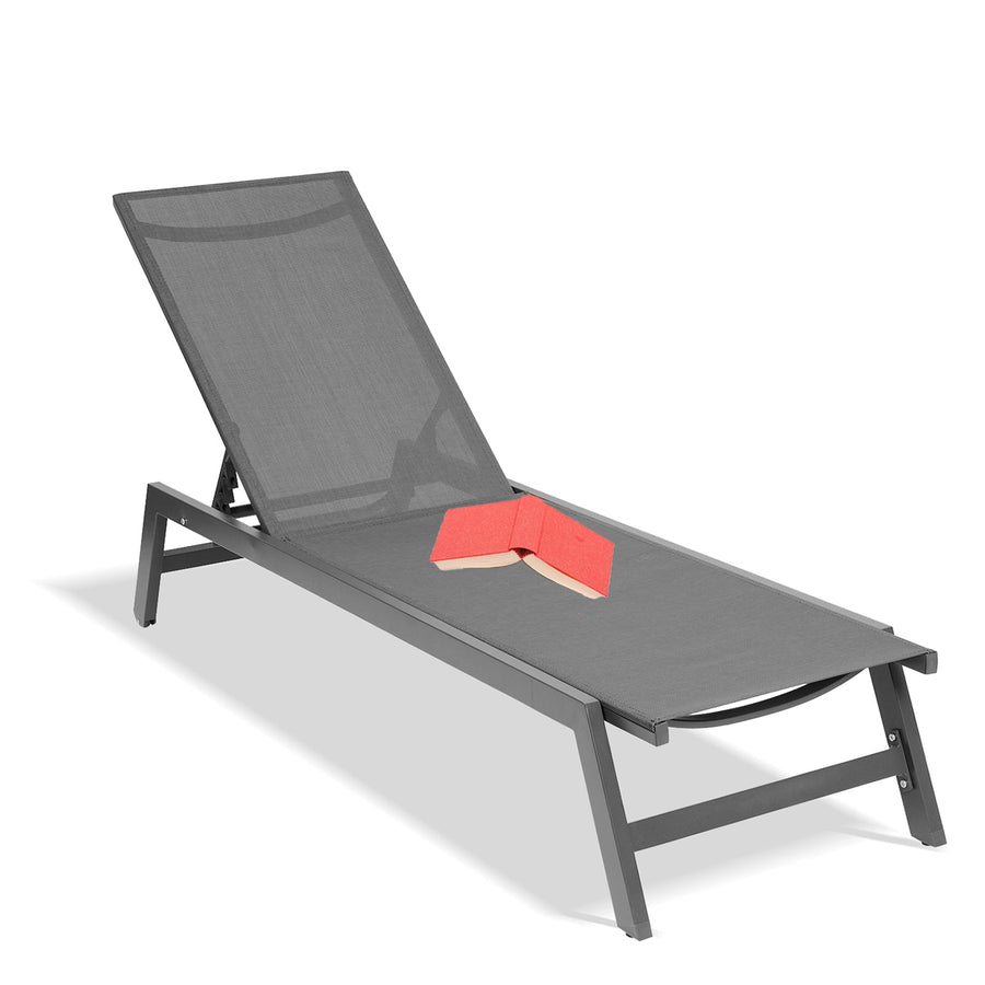 Seizeen Outdoor Chaise Lounge, Patio Lounge Chair with Wheels All Weather, Five-Position Adjustable Lounge Chair for Poolside Deck Porch Backyard, Gray Aluminum Frame Outdoor Furniture