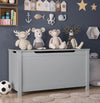 Gray Toy Chest for Boys Girls, Wooden Storage Bench Seat with Safety Hinge Lid, Kids Toy Box Organizer, Modern Storage Furniture for Entryway, Living Room, Bedroom, Toddler Room, L0295