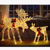 Seizeen 2-Piece Lighted Christmas Deer Set, Pre-lit Xmas Decoration Outdoor Yard with 200 Warm Lights, Golden