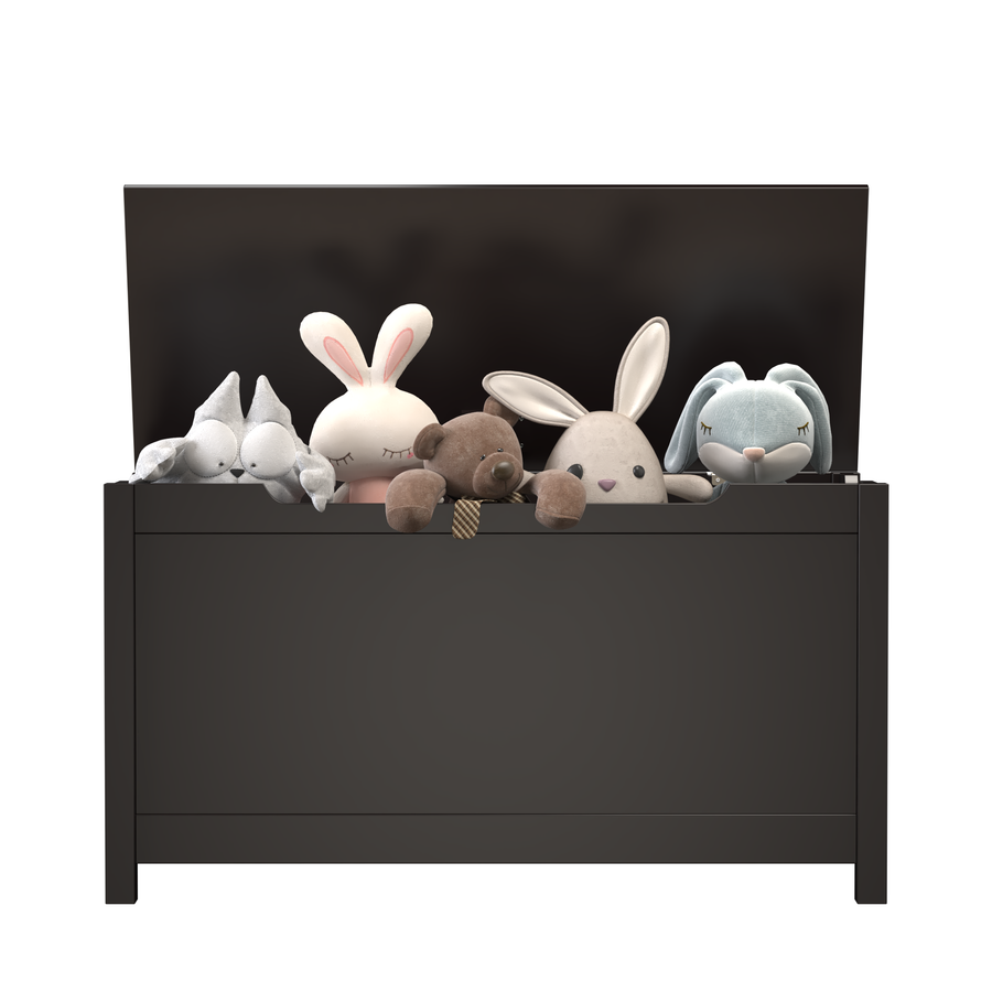 Girls white toy discount chest