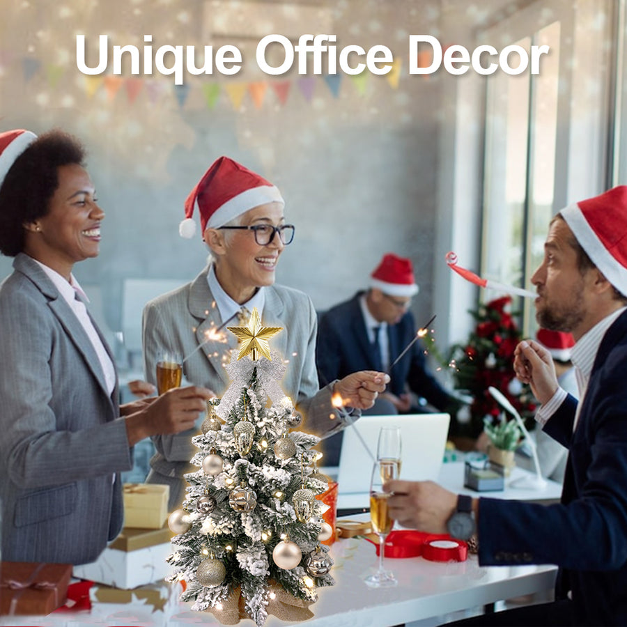Tabletop Christmas Tree with Lights, 2FT Pre-lit Christmas Tree with Rich Decorations, Mini Artificial Tree Shiny Ornaments & Light String for Xmas, White Small Lighted Tree for Home Decor, Gold