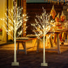 Lighted Birch Tree, Sectional Lighted Christmas Tree, Snowflake Artificial Tree for Christmas Home Decor, 2 Pack (4¡¯&5¡¯)