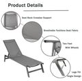 Seizeen Outdoor Chaise Lounge, Patio Lounge Chair with Wheels All Weather, Five-Position Adjustable Lounge Chair for Poolside Deck Porch Backyard, Gray Aluminum Frame Outdoor Furniture