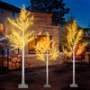 Pre-lit Christmas Trees Set of 3, Lighted Birch Tree with Warm Lights DIY Branch, All Weather Decor Lighted Tree for Indoor Outdoor, Artificial Tree Holiday Decoration, 4¡¯ 5¡¯ 6¡¯