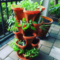 Happy Mother's Day Sale - 🍓Stand Stacking Planters Strawberry Planting Pots