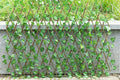 🔥BUY MORE SAVE MORE - 🌳3 Pcs Expandable Faux Privacy Fence🌳