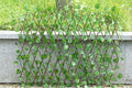 🔥BUY MORE SAVE MORE - 🌳3 Pcs Expandable Faux Privacy Fence🌳