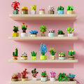 Succulent Building Block Flower Plant