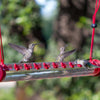 Buy 2 Get 1 Free - Best Hummingbird Feeder