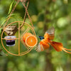 🐦2 In 1 Hanging Clementine Hummingbird Oriole Feeder