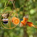 🐦2 In 1 Hanging Clementine Hummingbird Oriole Feeder