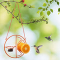 🐦2 In 1 Hanging Clementine Hummingbird Oriole Feeder