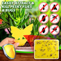 🔥Buy 60 Pcs Get 40 Pcs Free - SEIZEEN Sticky Fruit Fly Trap