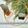 🐦2 In 1 Hanging Clementine Hummingbird Oriole Feeder