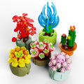 Succulent Building Block Flower Plant