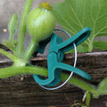 Versatile Garden Clips (set of 20)