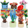 Succulent Building Block Flower Plant