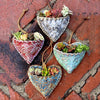 Planting Succulent Heart Pocket Planter