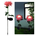 Father's Day Pre-promotion - 30" Chrysanthemum Solar Garden Stake LED