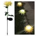 Father's Day Pre-promotion - 30" Chrysanthemum Solar Garden Stake LED