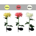 Father's Day Pre-promotion - 30" Chrysanthemum Solar Garden Stake LED